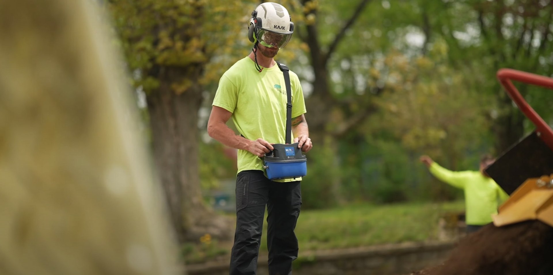 Arborist Tree Health Consultation Services Certified arborist using professional equipment for tree health assessment and maintenance