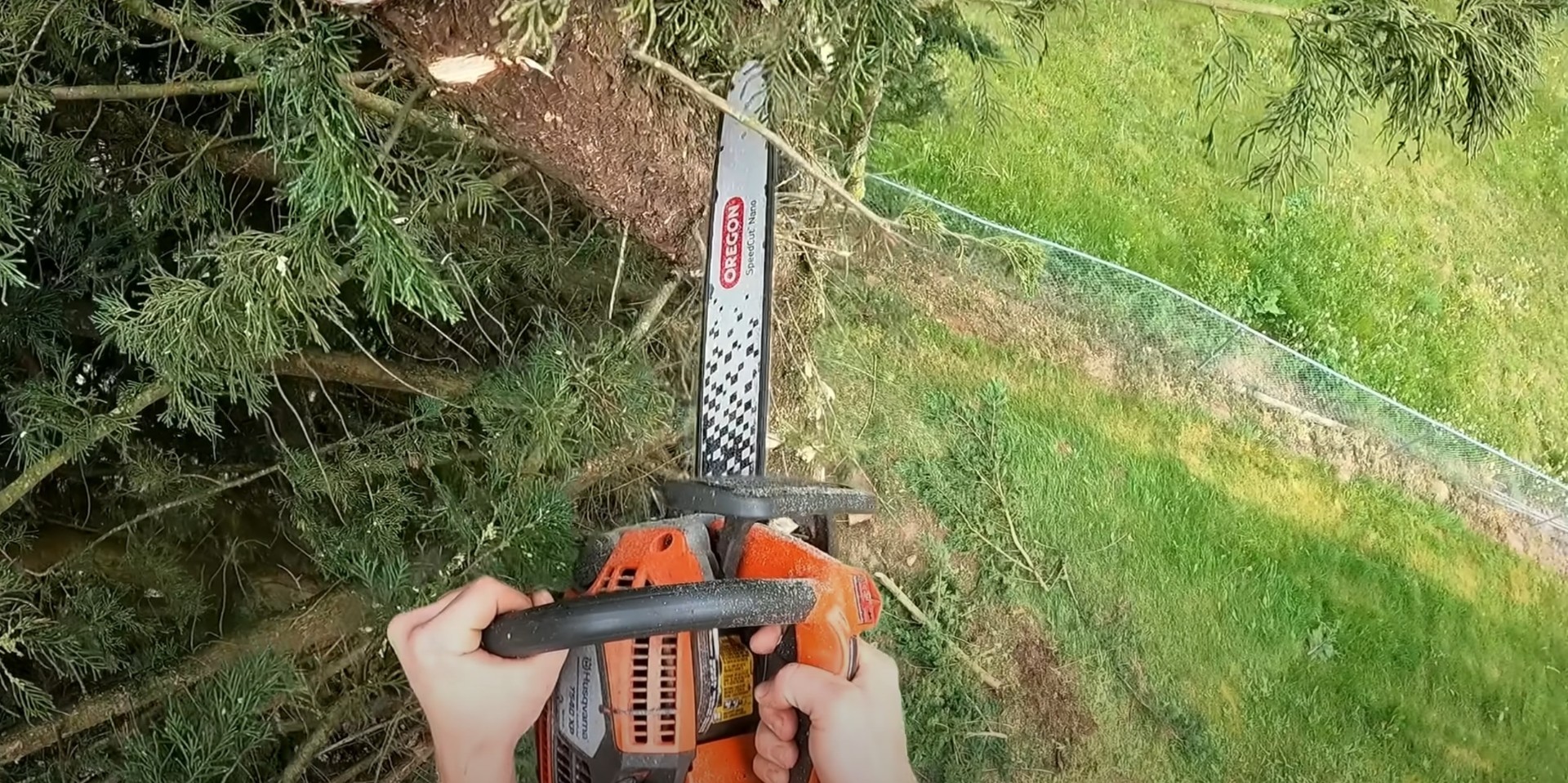 Seasonal Tree Trimming Services Professional arborist trimming tree branches with chainsaw