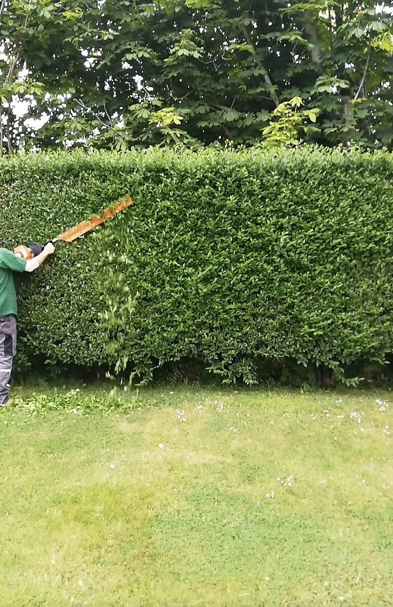 Residential Tree and Shrub Services Professional hedge trimming services for residential properties