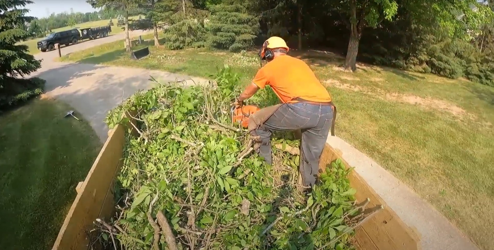 Professional Stump Removal and Tree Maintenance Arborist cutting tree stump with chainsaw for complete removal