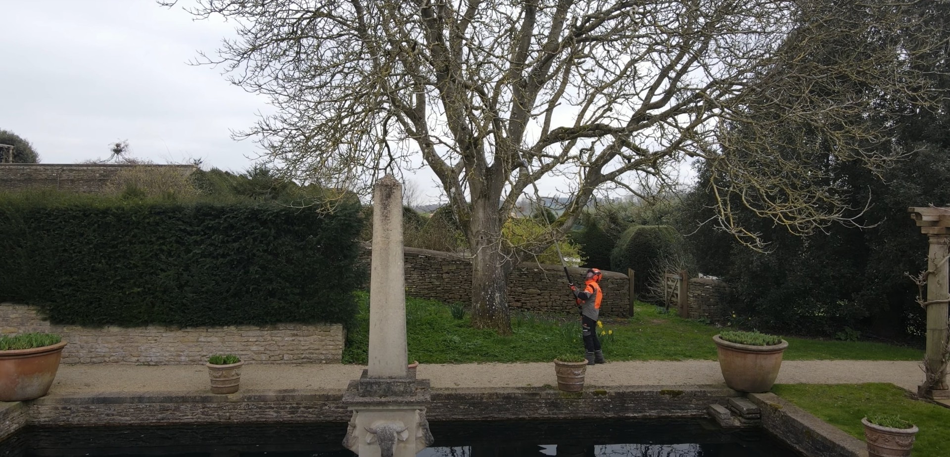 Safe Residential Tree Trimming Services Tree service professional trimming branches near residential property with safety equipment