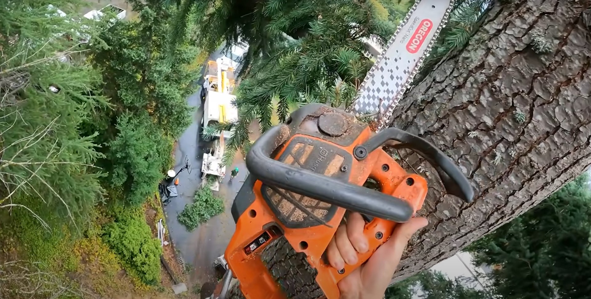 Precision Tree Cutting Services Professional chainsaw operation for precise tree cutting and branch removal