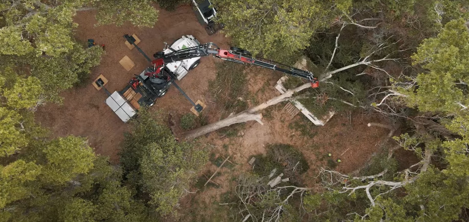 Commercial Land Clearing Operations Heavy machinery and professional equipment for comprehensive land clearing services