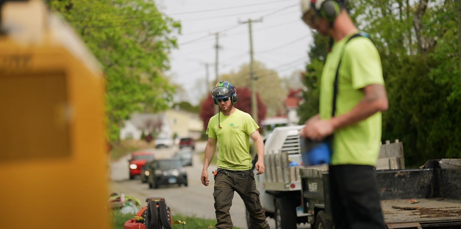 Expert Tree Service Professionals Professional tree service team working with safety equipment in Pico Rivera